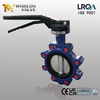 Lug Butterfly Valve–PN16, Aluminum Handle, OEM Manufacturer - Tianjin Worlds Valve Co., Ltd. 