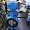 Wafer Butterfly Valve with SS Disc from China OEM|ODM Valve Manufacturer-Tianjin Worlds Valve Co., Ltd.