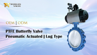 //ikrorwxhnjoklo5p-static.micyjz.com/cloud/pkBprKiklmSRplkriqjqiq/Pneumatic-Actuator-PTFE-Lug-Butterfly-Valve-corrosion-assistant.jpg