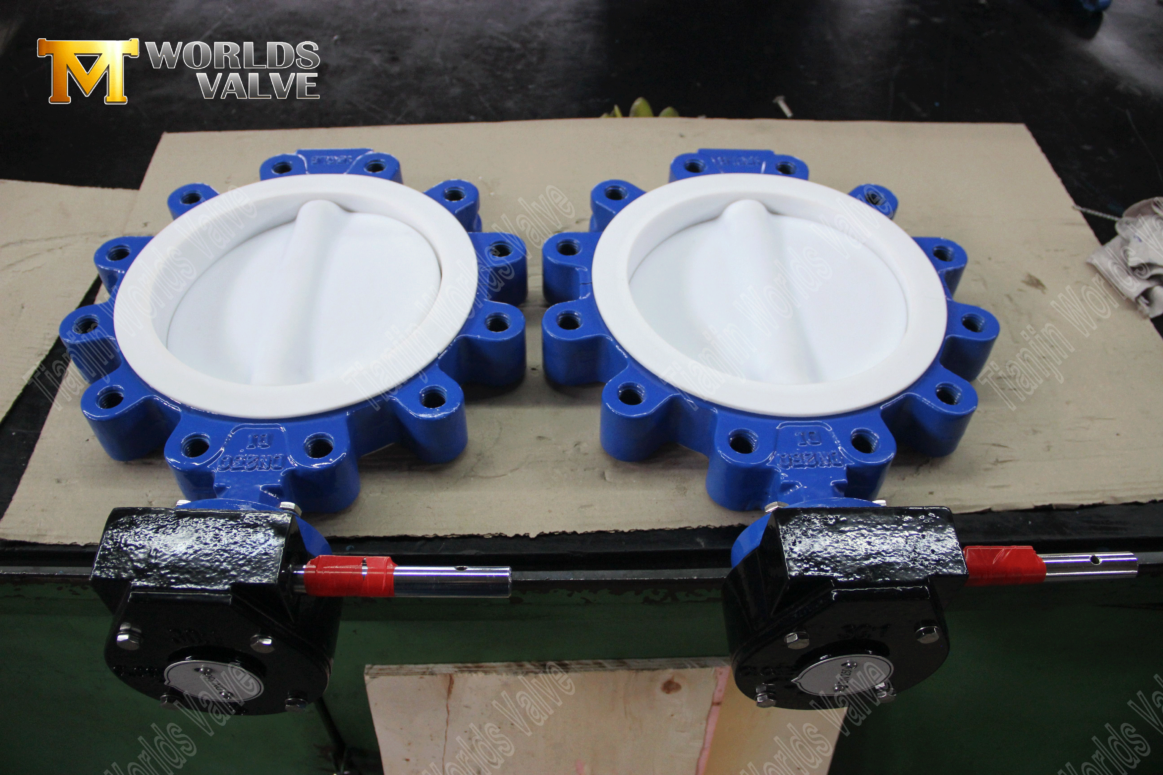 Butterfly Valve Manufacturers-PTFE Full Lined Lug Type Butterfly Valve-2 (2).png