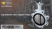 //ikrorwxhnjoklo5p-static.micyjz.com/cloud/pkBprKiklmSRqlkqnqrmip/Lug-Butterfly-Valve-DI-Body-CF8M-Disc-Replaceable-Soft-EPDM-Seat-OEM-Customizable.jpg