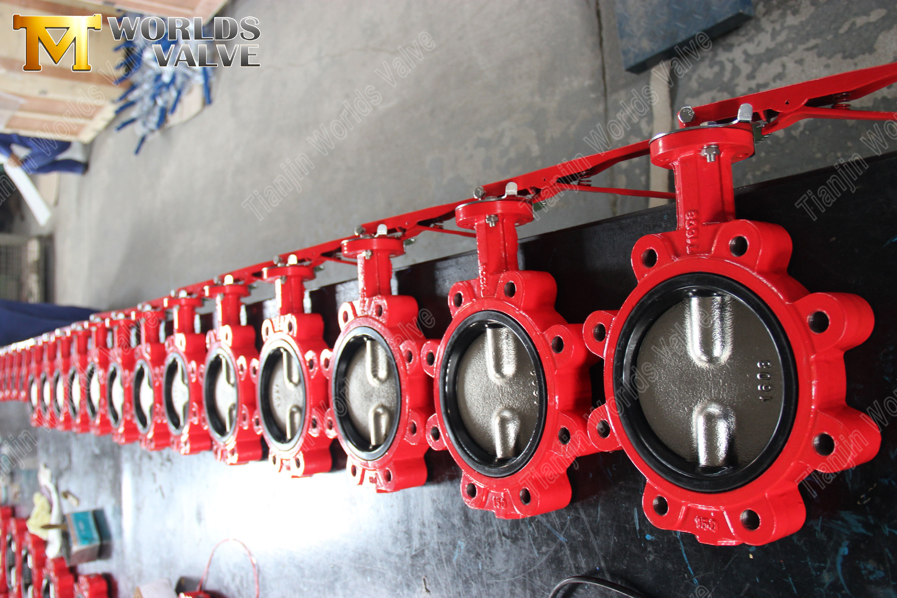 Extended Stem Lug Butterfly Valve Insulation-Friendly ISO 5211 (8).jpg