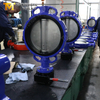 Class 150 Butterfly Valve with CF8M Disc & Wafer Type Design offered by Wafer Butterfly Valve Manufacturer China