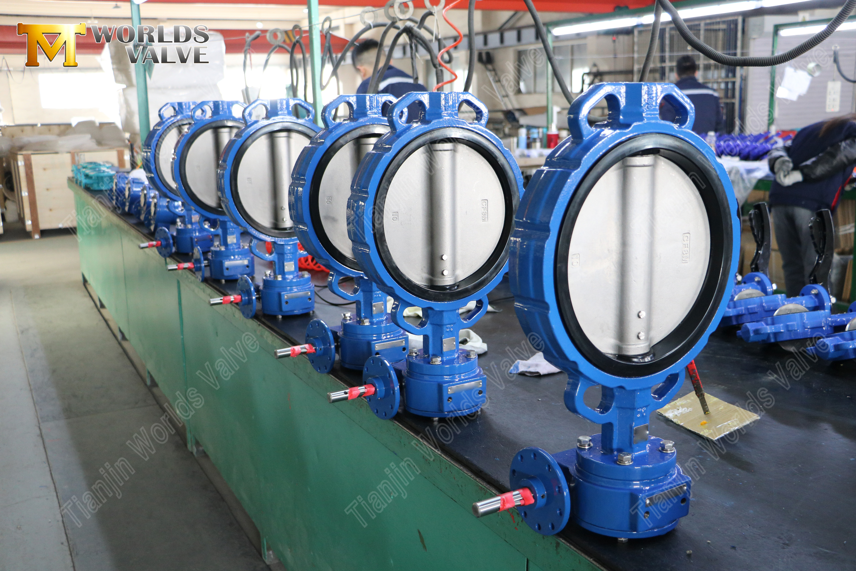 6 Inch Wafer Butterfly Valve – Class 150, CF8M Disc, EPDM Seat (7).jpg
