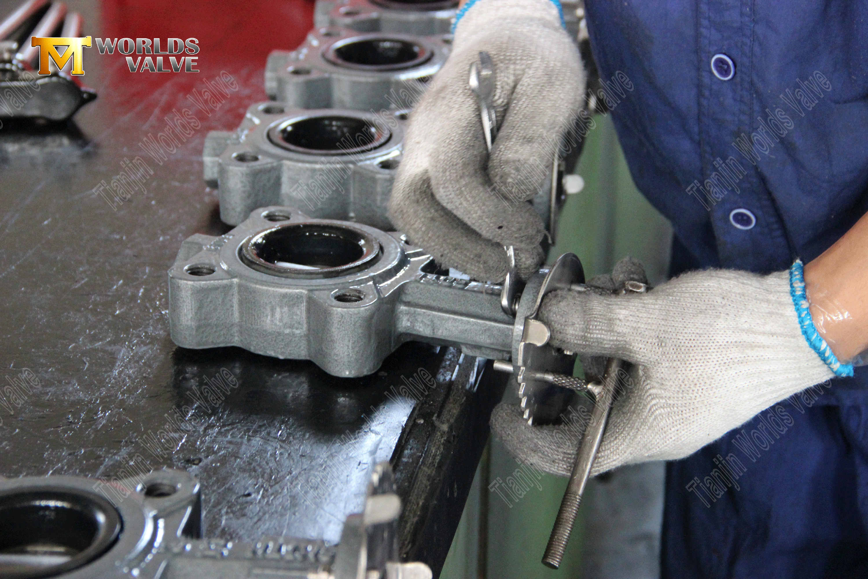 Lug Butterfly Valve–PN16, Aluminum Handle, OEM Manufacturer (8).png