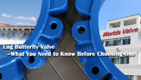 //ikrorwxhnjoklo5p-static.micyjz.com/cloud/plBprKiklmSRmlprrkjqiq/Lug-Butterfly-Valve-What-You-Need-to-Know-Before-Choosing-One.jpg