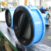 EPDM lined body check valve,CF8M disc PN10 offered by OEM Valve Supplier China-Tianjin Worlds Valve 