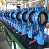 worm gear operated wafer butterfly valves from oem odm valve supplier China-Tianjin Worlds Valve