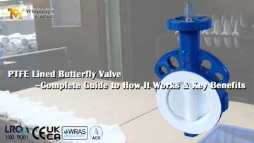 PTFE Lined Butterfly Valve–Complete Guide to How It Works & Key Benefits.jpg