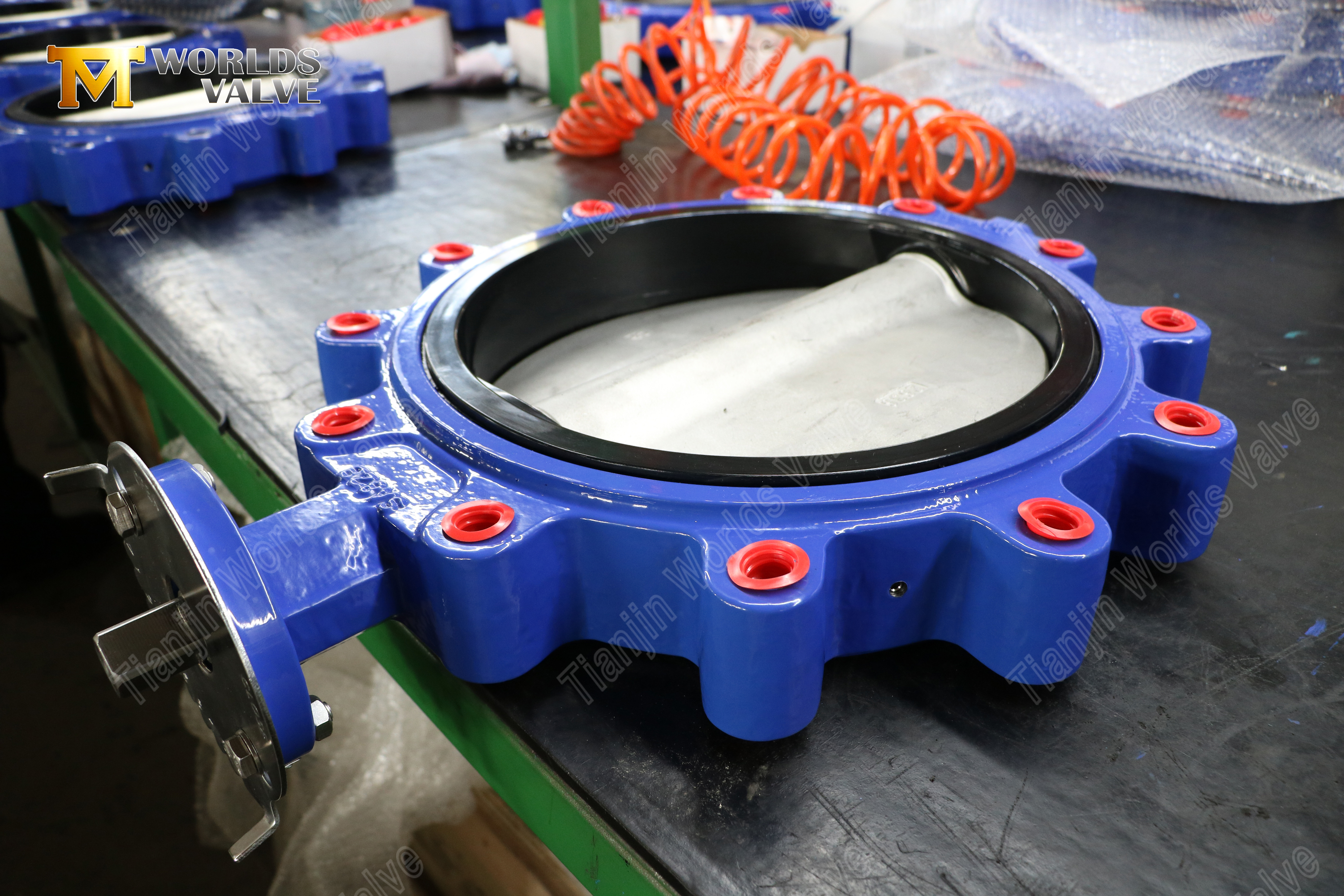 Lug Butterfly Valve – NBR Seat, CF8M Disc, OEM Manufacturer (3).jpg
