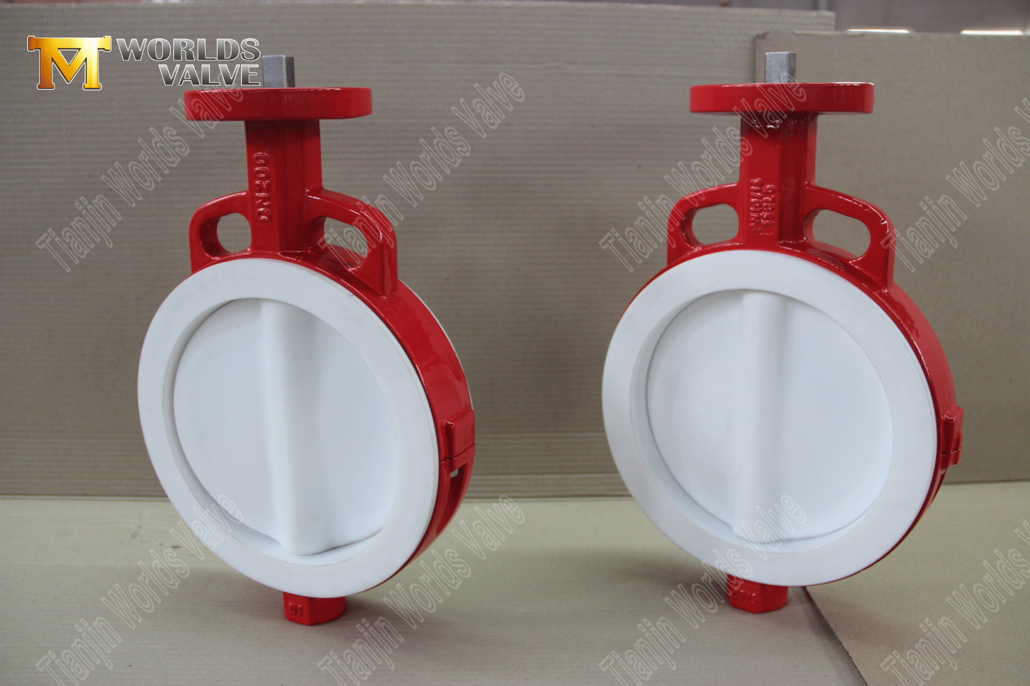 PTFE Wafer Butterfly Valve – PTFE Encapsulated Disc, Class 150, OEM Manufacturer (2).png