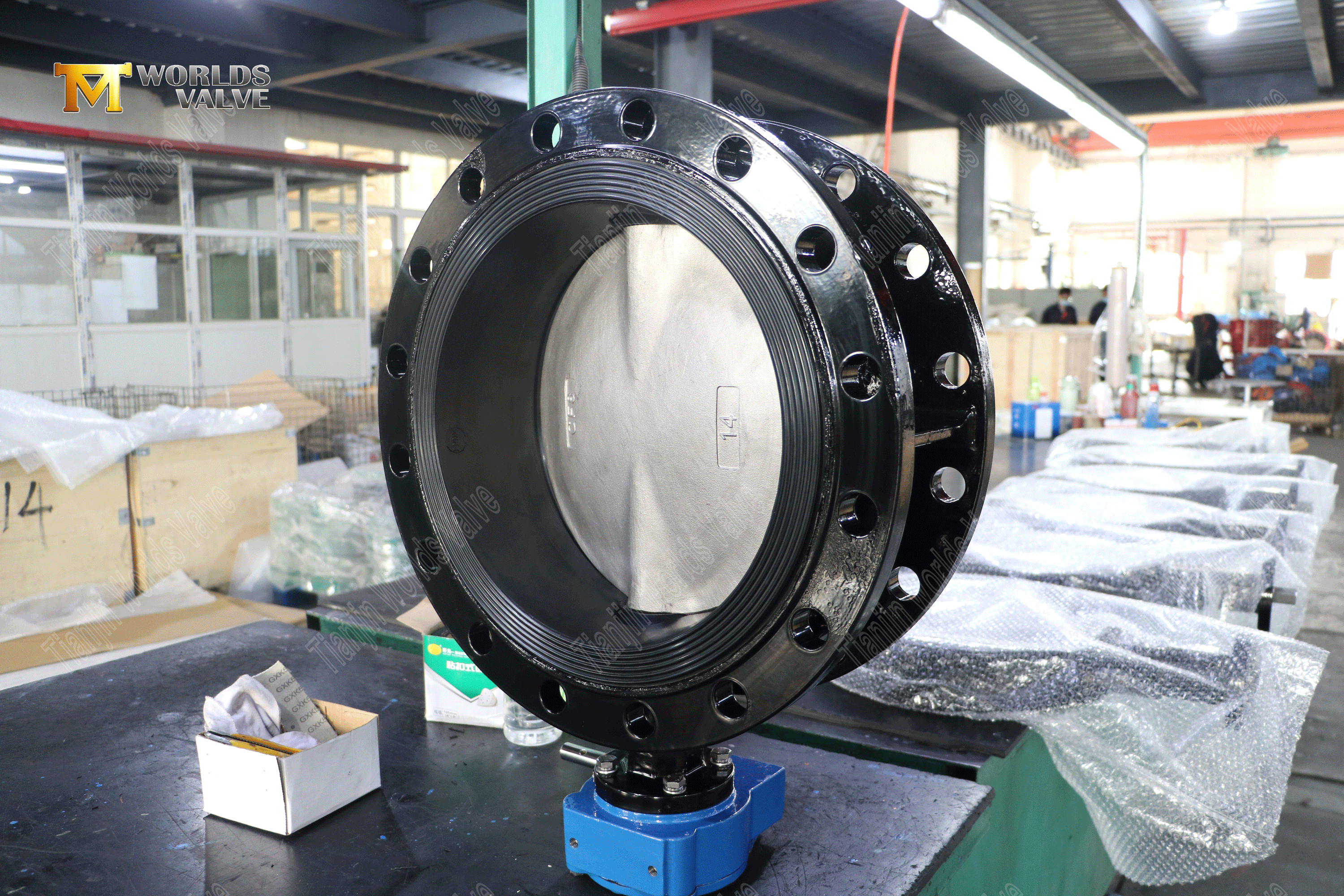 China Butterfly Valve Manufacturer – Ductile Iron Body & Duplex Stainless Steel Disc-2 (2).png