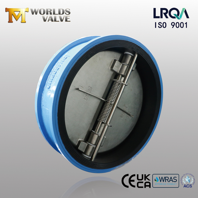Dual Plate Wafer Check Valve – EPDM-Lined Body, CF8M Disc, PN10, OEM Manufacturer China - Tianjin Worlds Valve Co., Ltd. 
