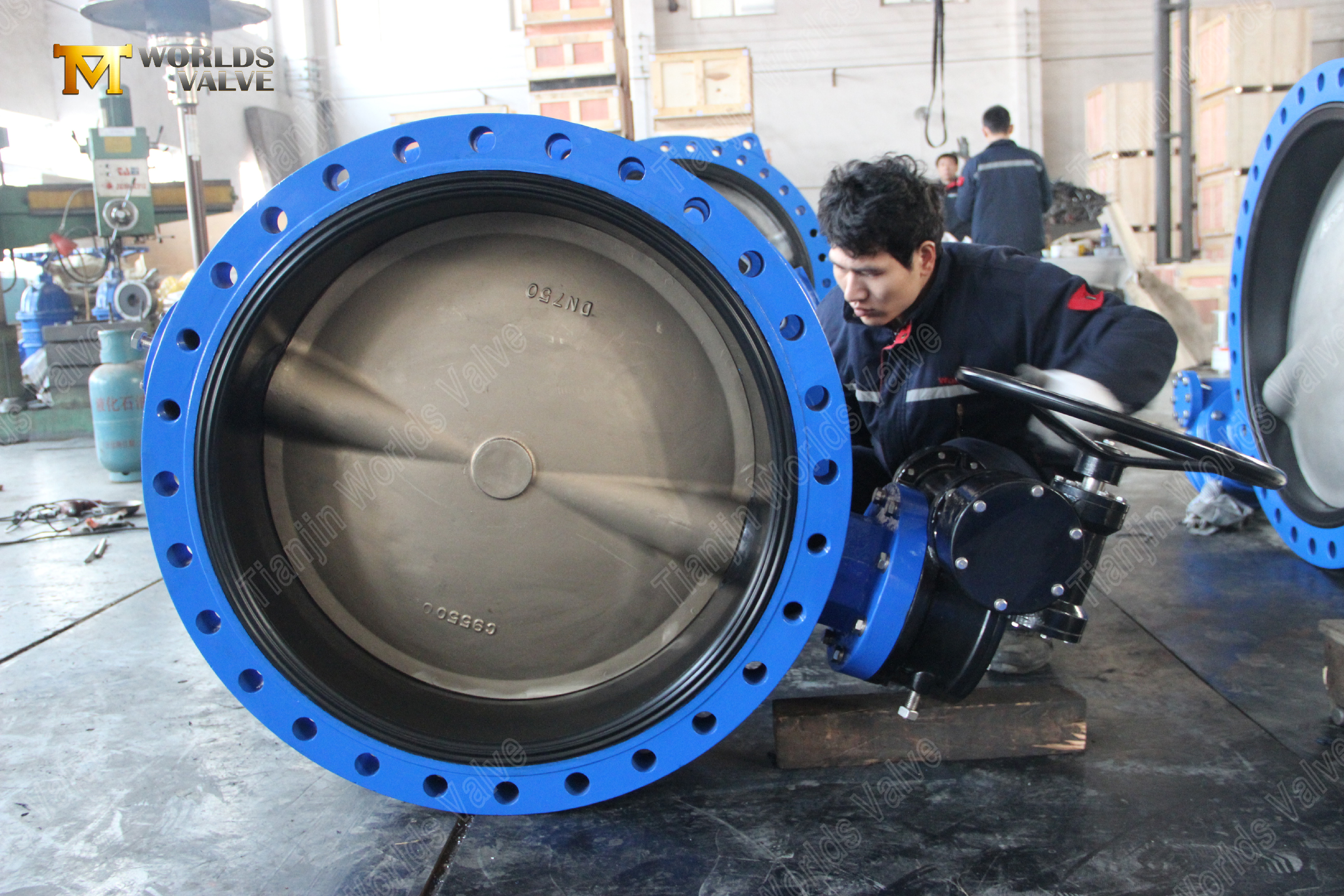 30 U-Type Butterfly Valve C95500 Aluminum Bronze Disc Seawater-resistant (7).jpg