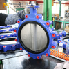 Lug Style Butterfly Valve Body and Rubber Seat produced by OEM Valve Supplier-Tianjin Worlds Valve Co., Ltd.