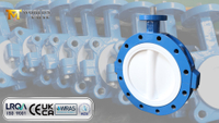 //ikrorwxhnjoklo5p-static.micyjz.com/cloud/pnBprKiklmSRmlpiromqip/10-Inch-PTFE-Lined-Lug-Butterfly-Valve-Zero-Metal-Contact-Maximum-Corrosion-Resistance.jpg