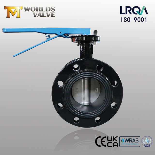 4 Inch Double Flanged Butterfly Valve – CF8 Disc, Vulcanized Seat, ISO 5211 from China manufacturer - Tianjin Worlds Valve Co., Ltd. 
