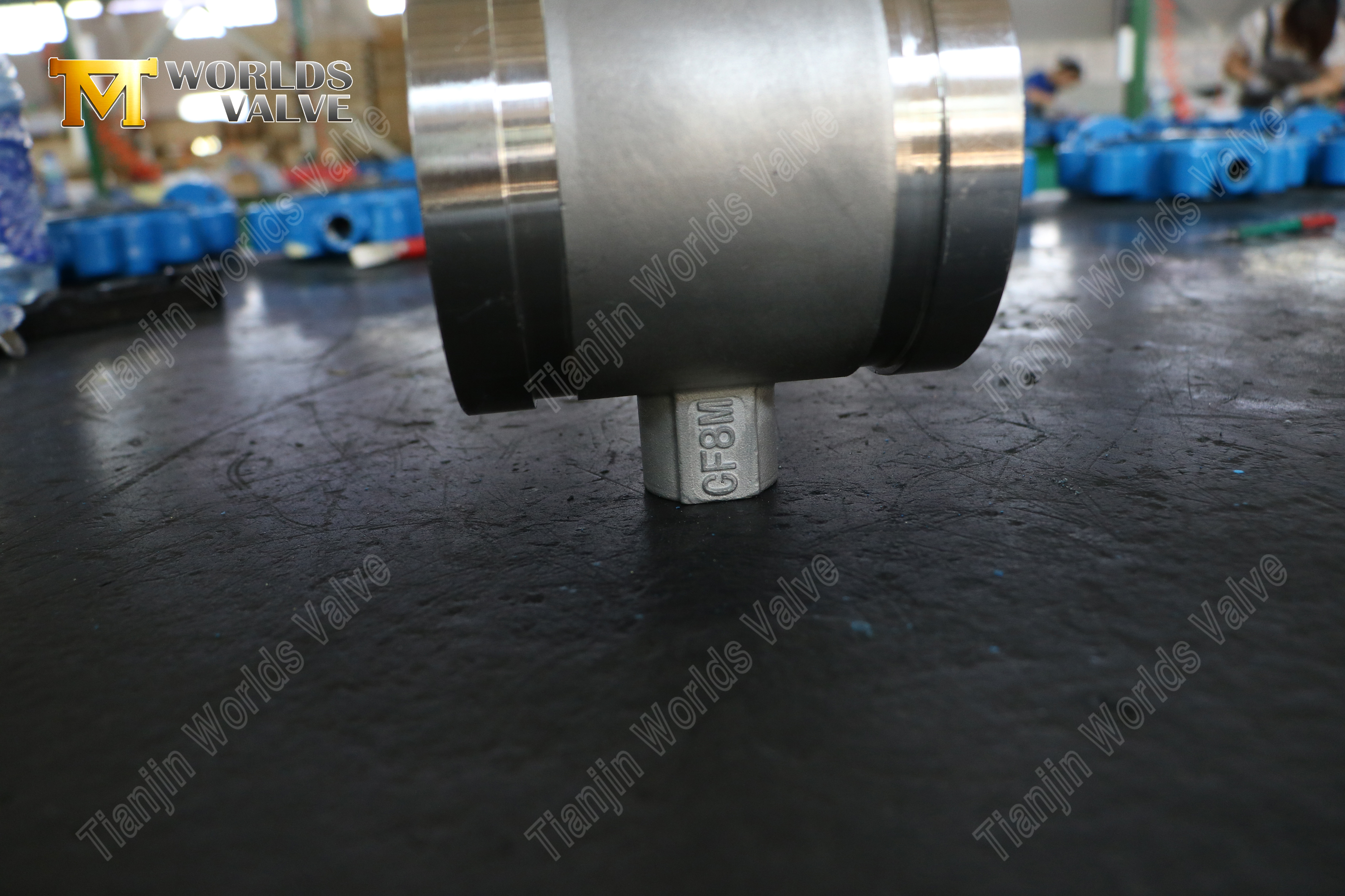 SS Grooved End Butterfly Valve – CF8M Body, PN16, OEM Manufacturer (8).jpg