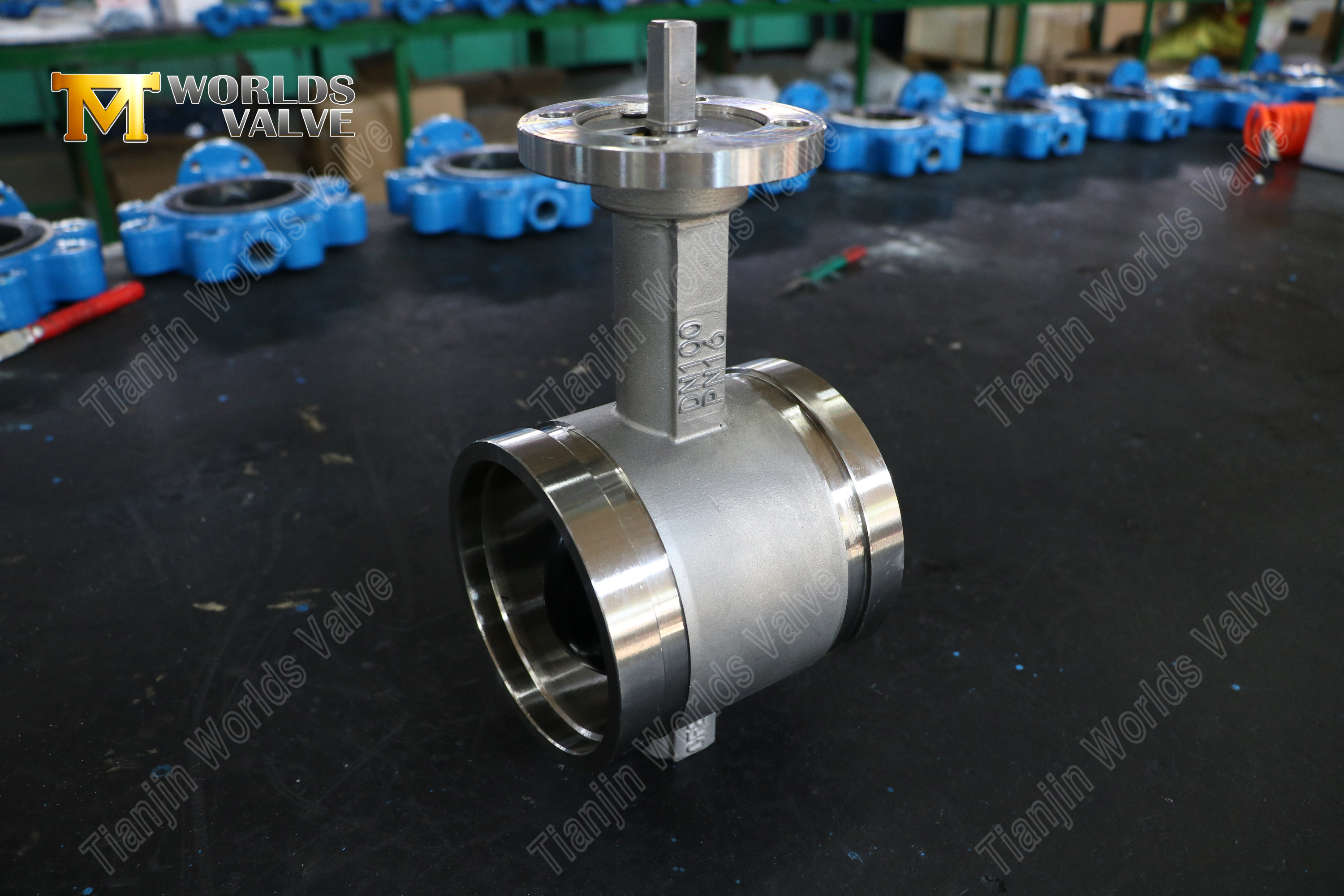 SS Grooved End Butterfly Valve – CF8M Body, PN16, OEM Manufacturer (7).jpg