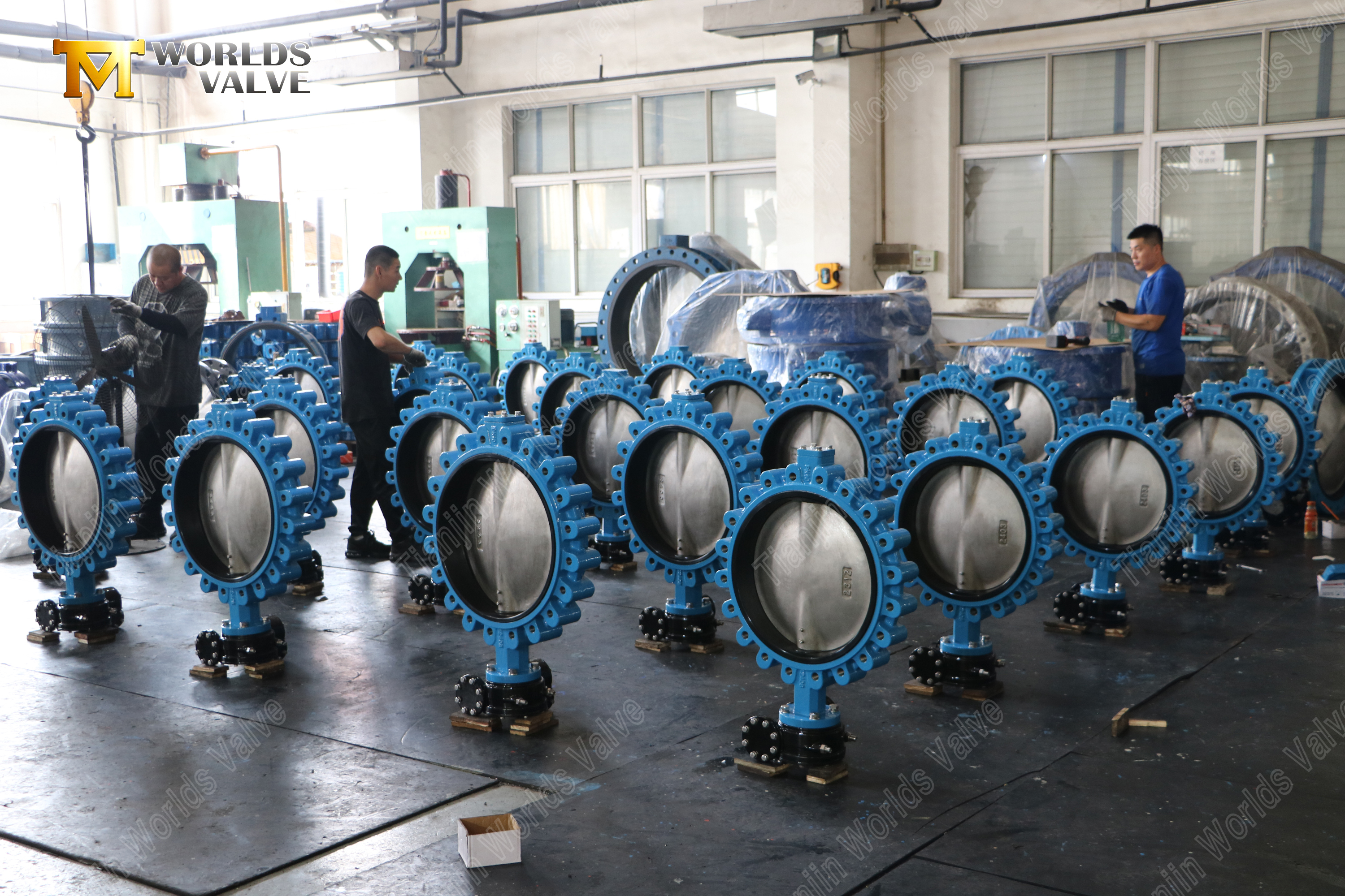 Lug Butterfly Valve CF8M Disc PN16 (7).jpg