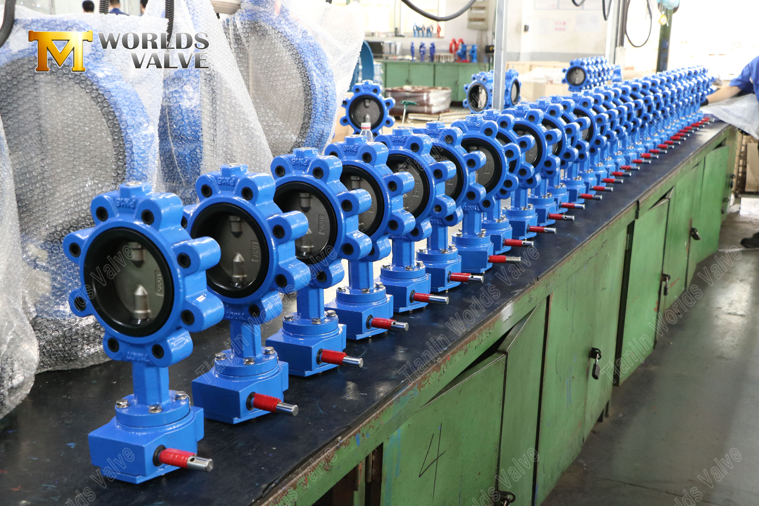 Extended Stem Lug Butterfly Valve Insulation-Friendly ISO 5211 (7).jpg