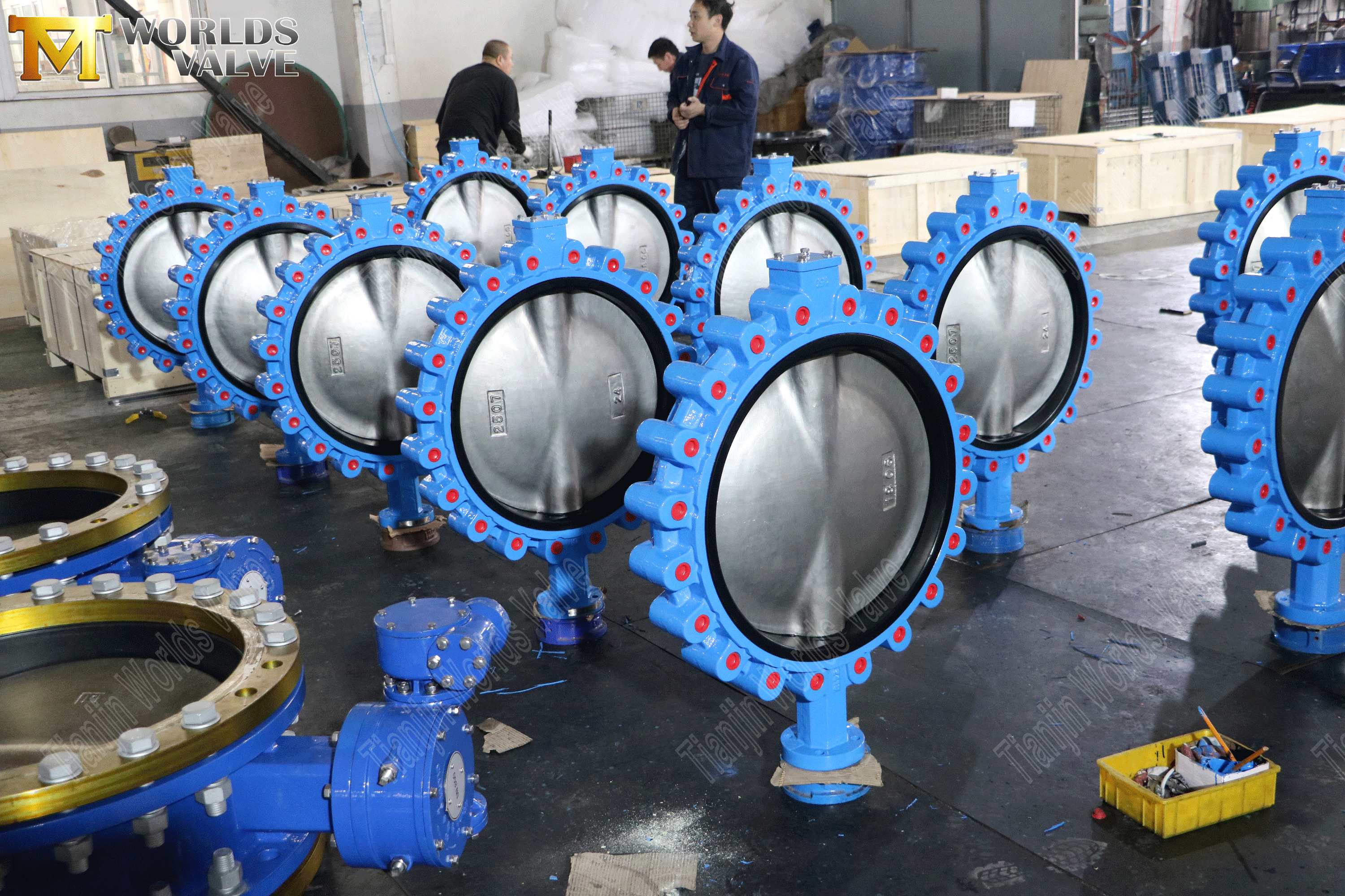 Lug Butterfly Valve Manufacturers-Concentric Butterfly Valve with Worm Gear Operator-1 (4).png