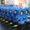 Semi-Lug Butterfly Valve | WCB Body, CF8 Disc, Viton Seat | Worm Gear DN150 10K