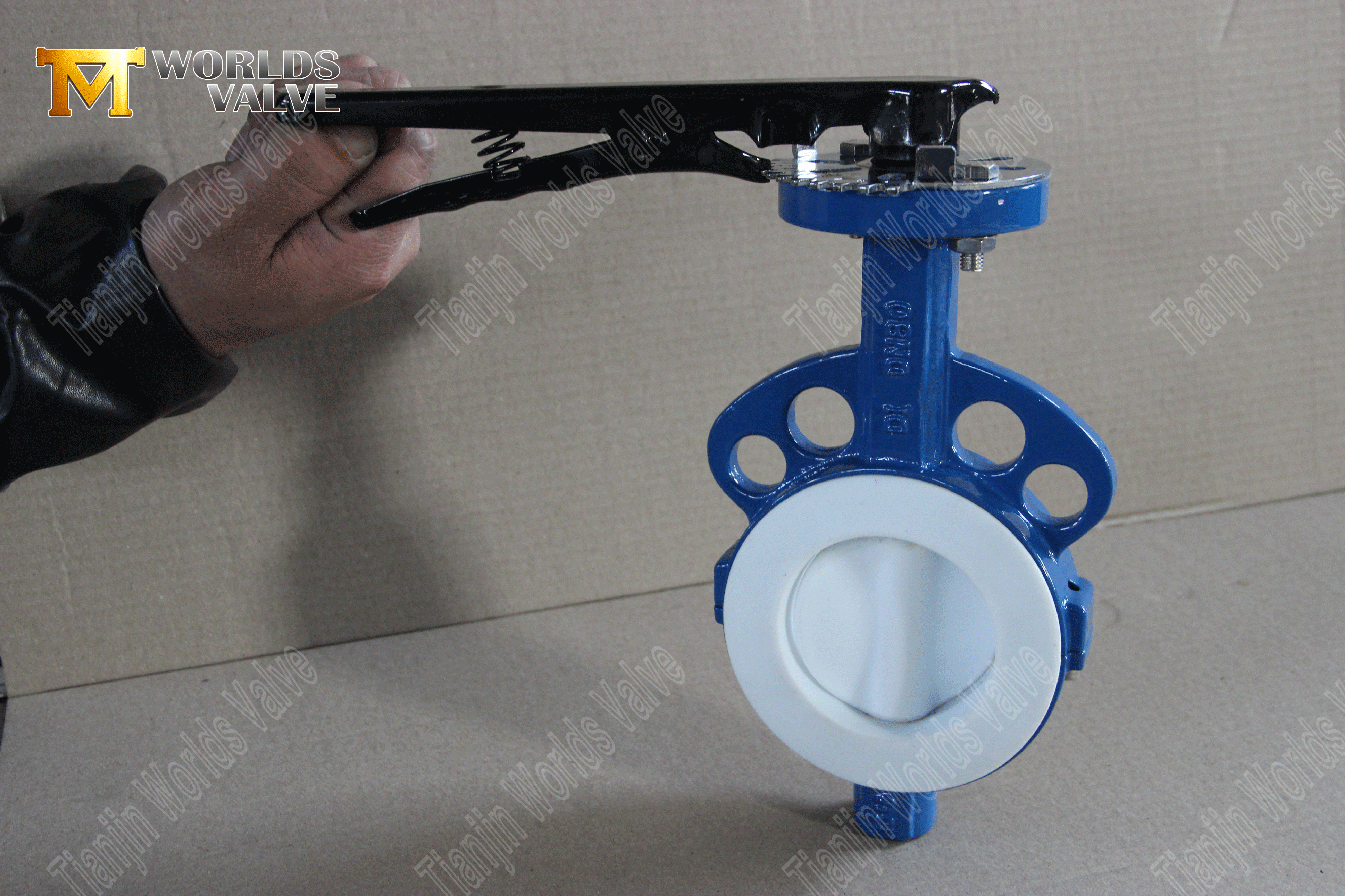 PTFE Wafer Butterfly Valve – PTFE Encapsulated Disc, Class 150, OEM Manufacturer (3).png