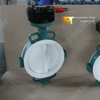 Worm gear PTFE Wafer Butterfly Valve Supplier China-Tianjin Worlds Valve Co., Ltd.