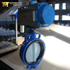 Custom Pneumatic Butterfly Valve from Wafer Butterfly Valve Manufacturer China-Tianjin Worlds Valve