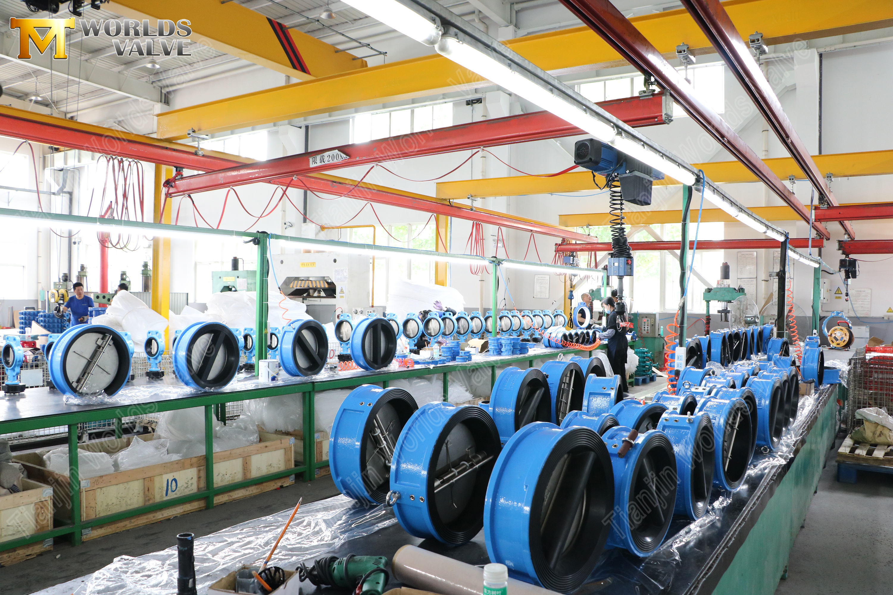 Dual-plate-wafer-check-valve-with-rubber-lined-4 (6).jpg