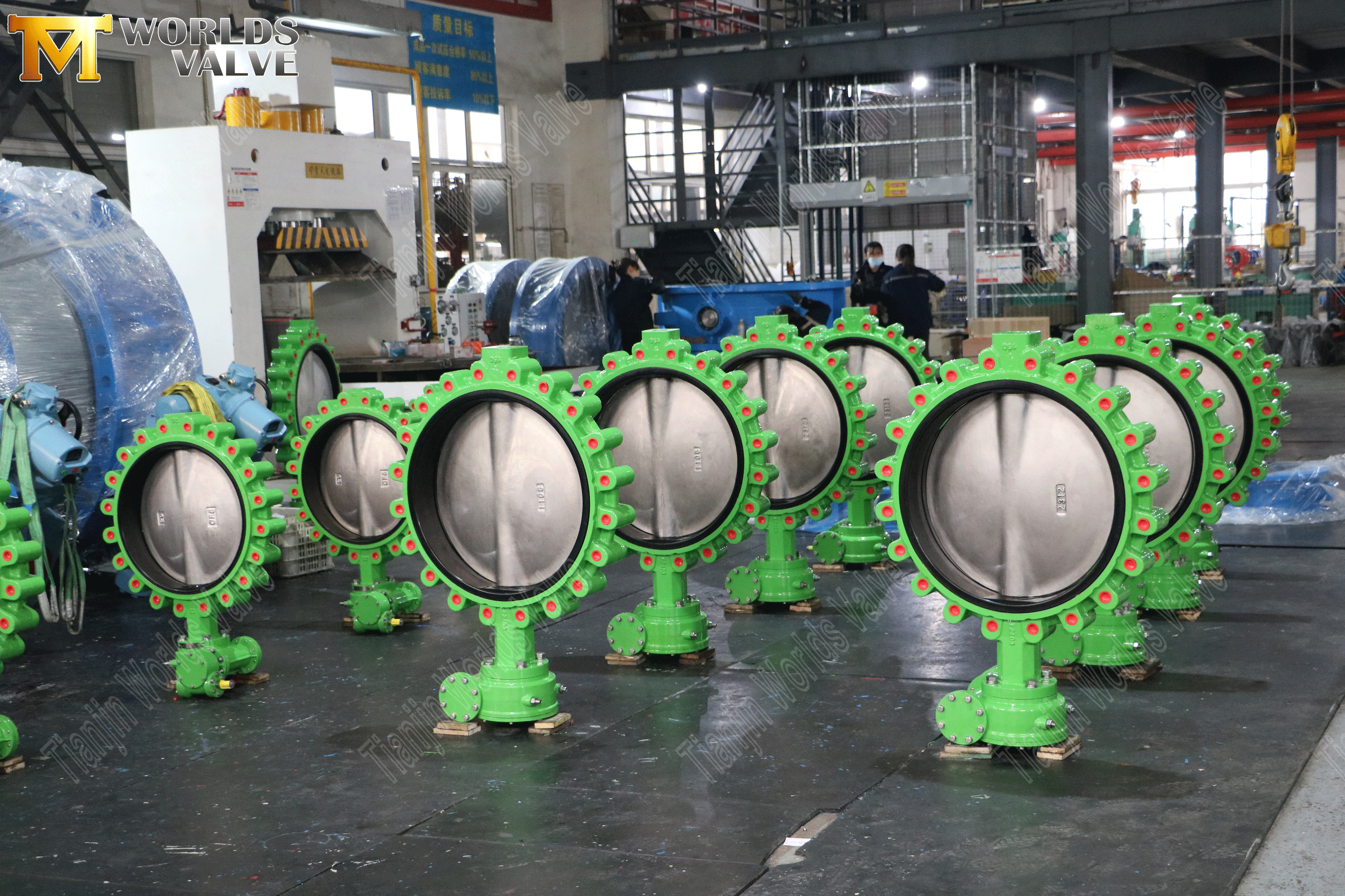 Lug Butterfly Valve Manufacturers-Concentric Butterfly Valve with Worm Gear Operator-1 (2).png