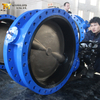 Worm Gear Flanged Butterfly Valve Supplier China-Tianjin Worlds Valve Co., Ltd.