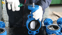 //ikrorwxhnjoklo5p-static.micyjz.com/cloud/poBprKiklmSRqlprjjiiio/Wafer-Butterfly-Valve.png