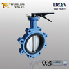 Lug Butterfly Valve – CF8M Disc, EPDM Seat, Class 150, OEM Manufacturer from China manufacturer-Tianjin Worlds Valve
