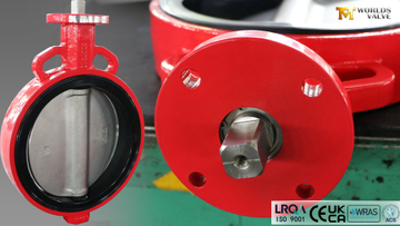 Wafer Concentric Butterfly Valve–DI Body, CF8 Disc, EPDM Seat (1).jpg