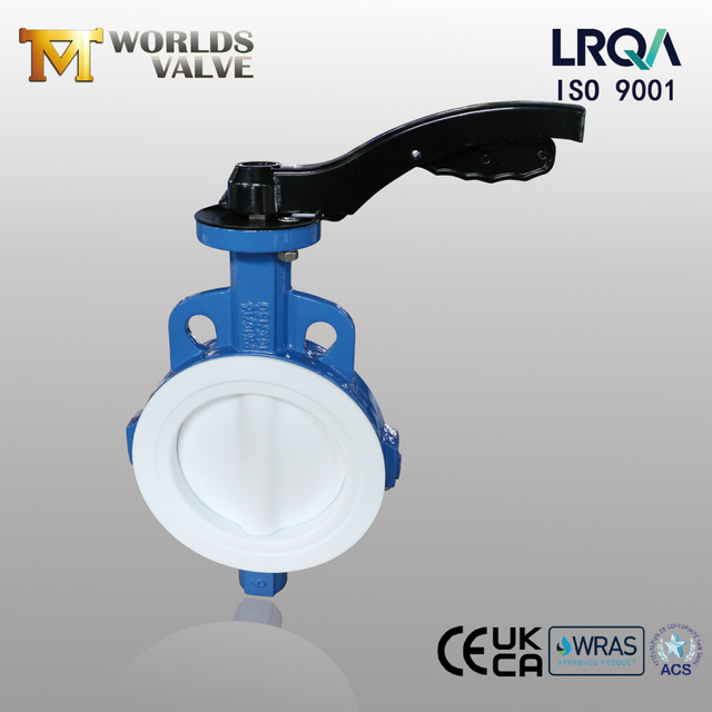 PTFE Wafer Butterfly Valve – PTFE Encapsulated Disc, Class 150, OEM Manufacturer - Tianjin Worlds Valve Co., Ltd. 