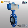 Pneumatic Actuated Wafer Butterfly Valve – OEM Manufacturer from China manufacturer - Tianjin Worlds Valve Co., Ltd. 