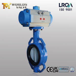 Pneumatic Actuated Wafer Butterfly Valve – OEM Manufacturer from China manufacturer - Tianjin Worlds Valve Co., Ltd. 
