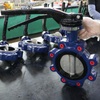 Dead-end Service Butterfly Valve with Ductile Iron Body produced by OEM Valve Supplier-Tianjin Worlds Valve