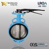 Ductile Iron Wafer Butterfly Valve | Lever Operated from China OEM manufacturer - Tianjin Worlds Valve Co., Ltd. 