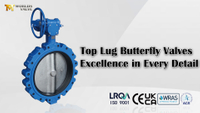 //ikrorwxhnjoklo5p-static.micyjz.com/cloud/ppBprKiklmSRqlopoikjiq/20-Inch-Lug-Butterfly-Valve-DI-Body-DI-Disc-EPDM-Seat-Worm-Gear-Operator.jpg