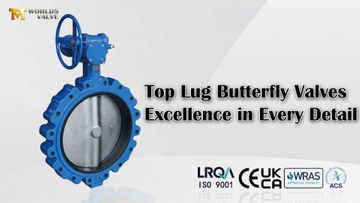 20 Inch Lug Butterfly Valve DI Body, DI Disc, EPDM Seat Worm Gear Operator.jpg