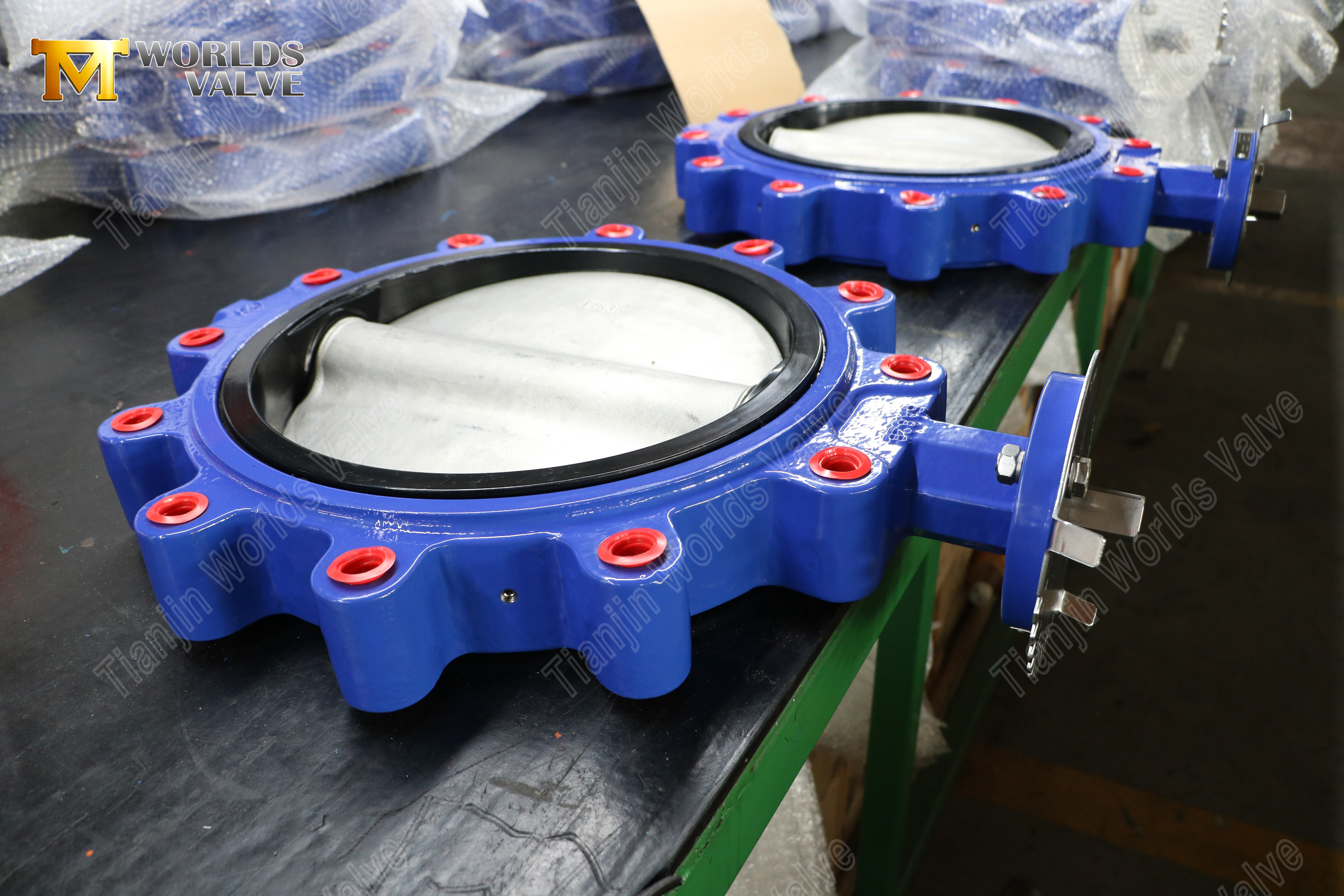 Lug Butterfly Valve – NBR Seat, CF8M Disc, OEM Manufacturer (4).jpg