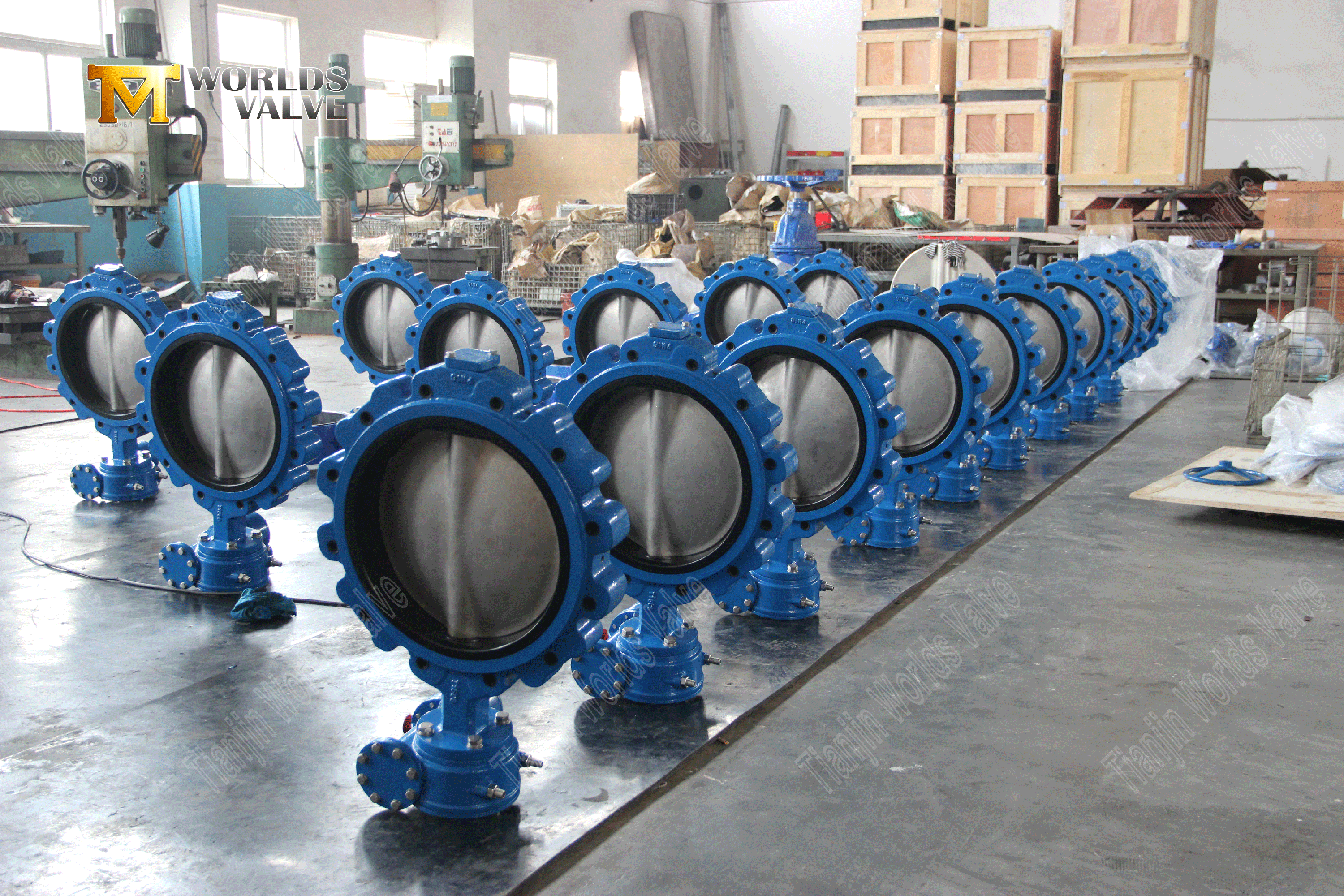 Lug Butterfly Valve–PN16, Aluminum Handle, OEM Manufacturer (7).png