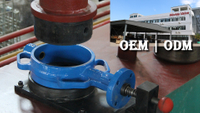 //ikrorwxhnjoklo5p-static.micyjz.com/cloud/pqBprKiklmSRplroplniiq/Why-Choose-a-Direct-OEMODM-Valve-Manufacturer-Over-a-Trading-Company.jpg