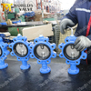 Extended Stem Lug Butterfly Valve | Insulation-Friendly | ISO 5211