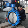 Worm Gear OP Lug Butterfly Valve with SS disc and Rubber lined produced by OEM | ODM Valve Supplier Tianjin Worlds Valve