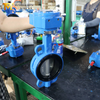 Worm gear operated Wafer Butterfly Valve with Replaceable Rubber Seat from High Quality Supplier China-Tianjin Worlds Valve