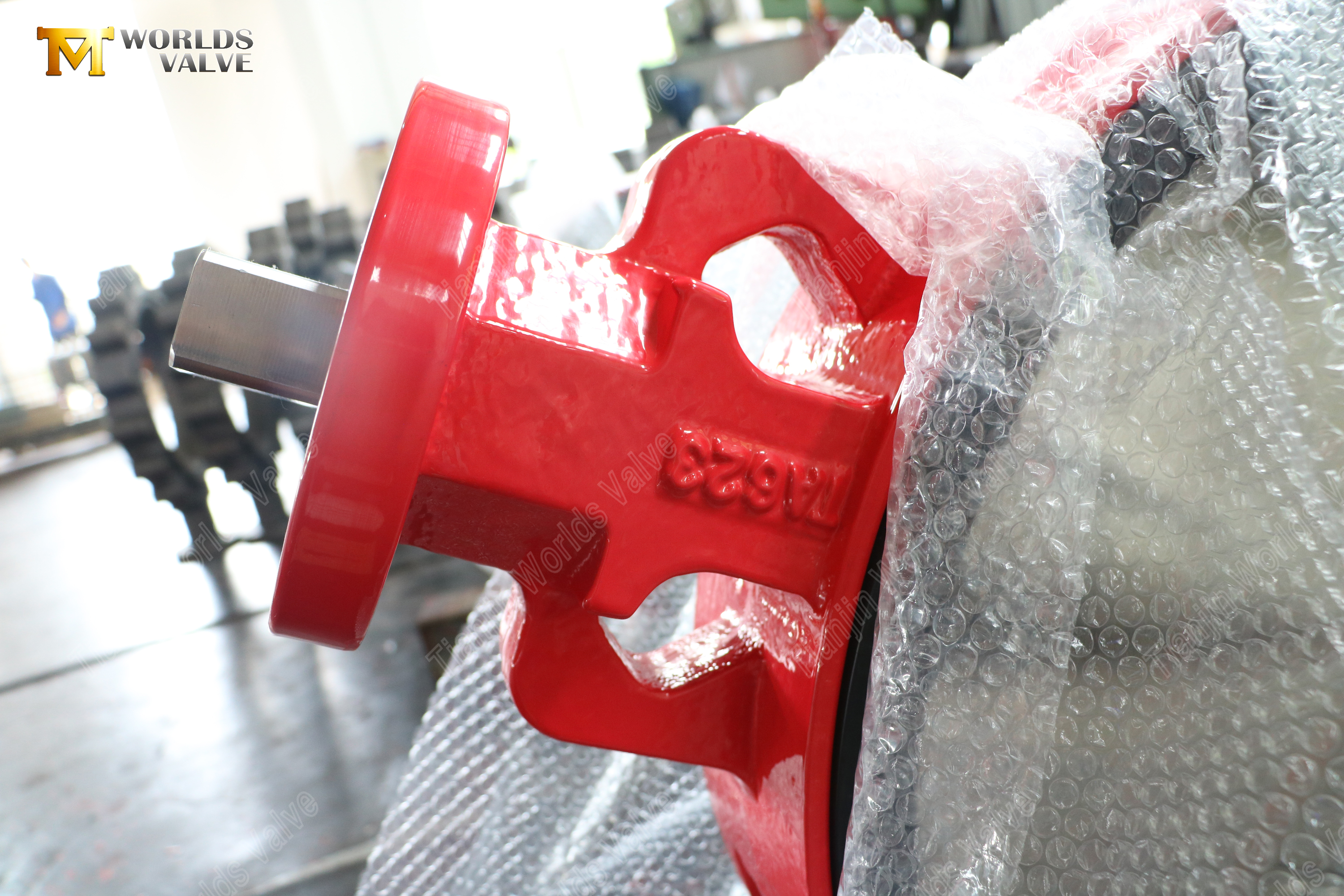 Wafer Butterfly Valve Ductile Iron Body CF8 Disc EPDM Seat (8).jpg